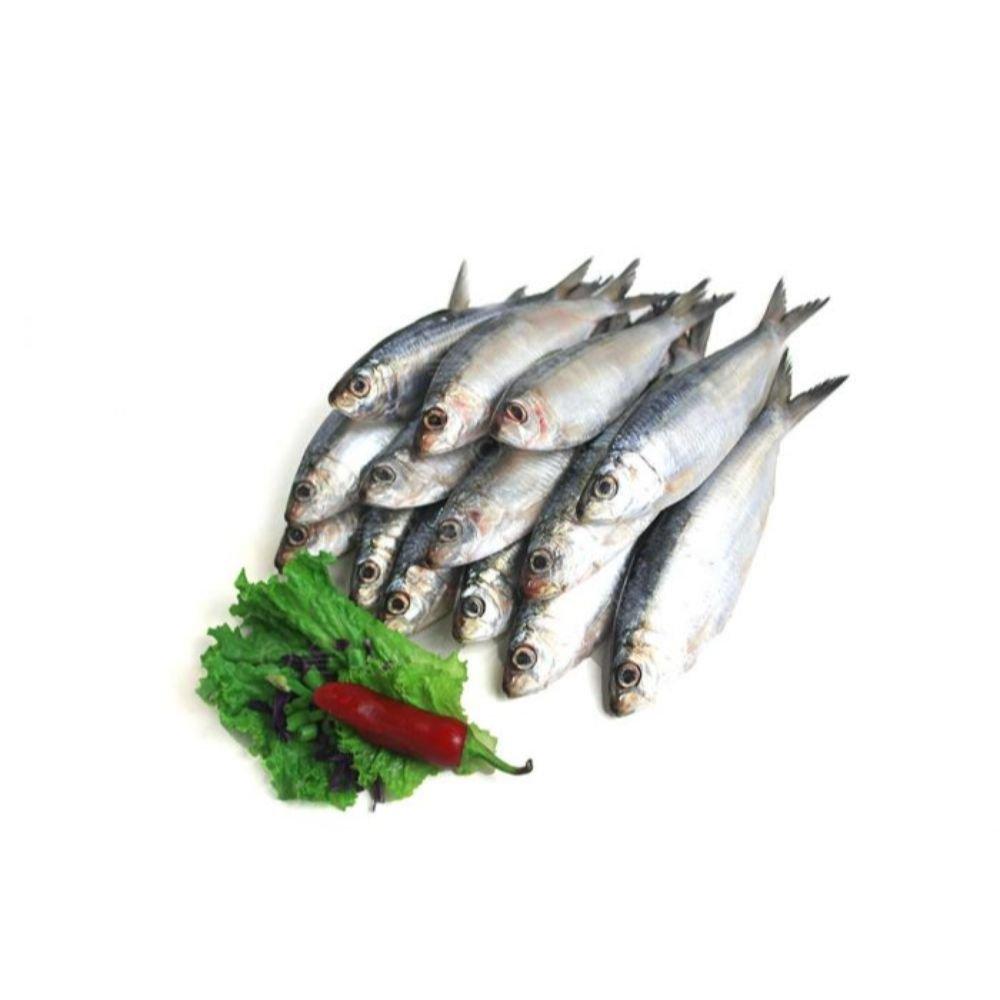 Sea Chapila Fish (Kg)* 1 Kg
