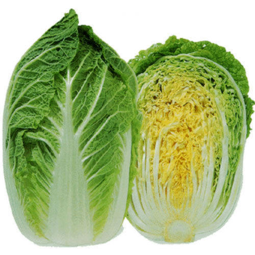 Chinese Cabbage Per Kg